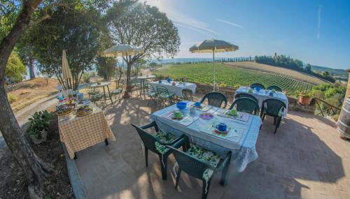 Agriturismo La Ripolina - Foto 5