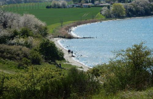 Apartments Sonne am Sund - Photo 71