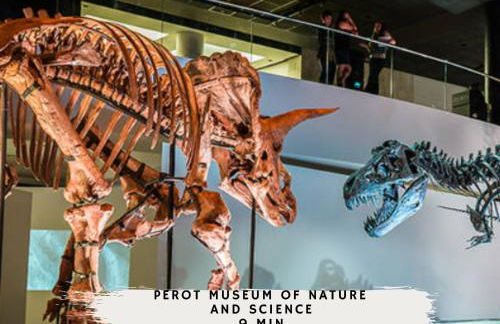 Modern and Cozy Apt Dallas Central - Foto 23