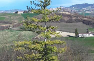 Monferrato vini castelli - Foto 18