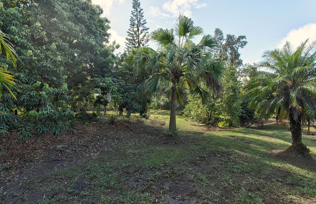 Peace Of Paradise 1 Bedroom Cabin by RedAwning - Photo 27