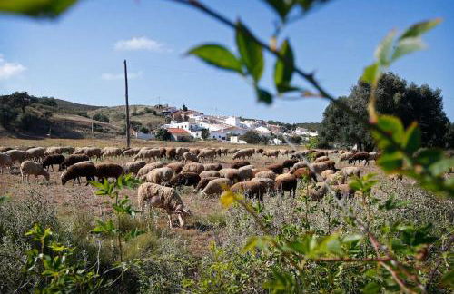 Casa Amado, Aldeia da Pedralva - Photo 29