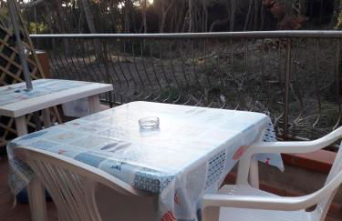 Bibbona Summer - Pineta 1 - - Foto 31