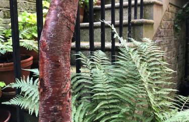 Kings Cross, self-contained house & private garden - Foto 29