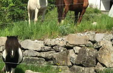 Gîtes Belle Vue - Photo 43