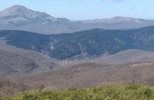 Canadina 2 - Foto 21
