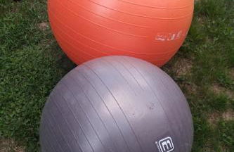 Maison à l'ancienne avec grand terrain , animaux bienvenus - Foto 65