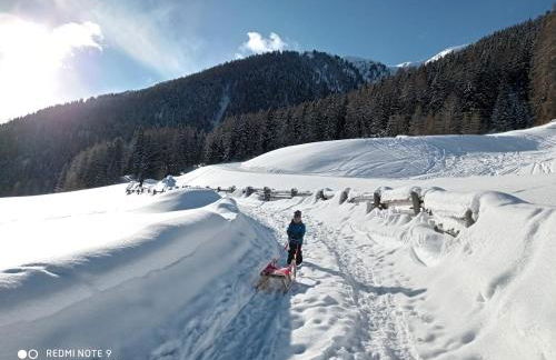 Zangerlehof - Foto 8