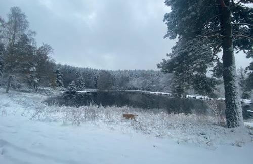 Morvan La Pastourelle - Foto 31