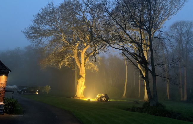 Whitmoor Farm - Foto 50