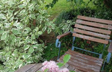 Villa Knoche - Foto 11