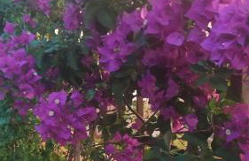 My Little House - appartamento con patio e parcheggio privato a 5 minuti dalla spiaggia e dal centro - Foto 12