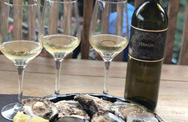 Villa Eva Karigador - Photo 45