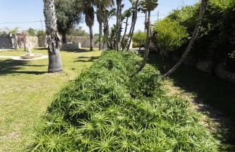 Casa Nettuno - Foto 43