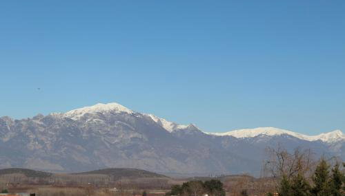 Villa Despina-Aloro-Loutra Pozar - Foto 4