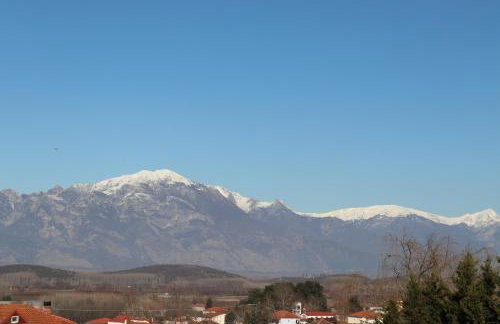 Villa Despina-Aloro-Loutra Pozar - Photo 4