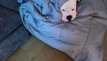 Stay Like A Boss- Penthouse-Views- Convention Center- Free Parking - Foto 2