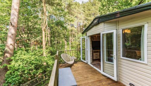 Tree Tops - Norfolk Cottage Agency - Foto 3