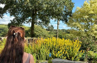 Tregolls Farm Cottages - Foto 14