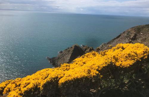 Curlew Cottage and Sunset View - Foto 29