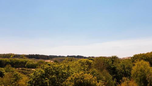 Superbe maison avec piscine et jacuzzi dans les dunes - Foto 3, Garden view