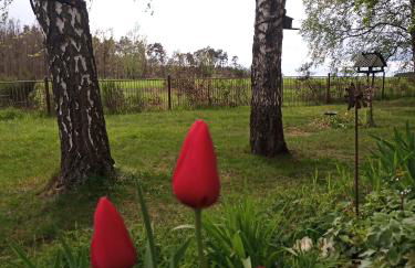 Flämingpanorama - Ländliches Gartenhaus mit Kamin und Naturpanorama - Photo 14
