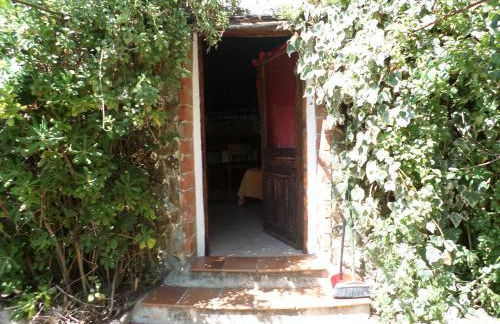 Pinnettu sardo tipica abitazione sarda in ecosistema insetti e animaletti simpatici in condivisione bagno esterno a 10metri Leggere attentamente Prima di prenotare - Foto 44