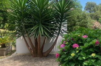 Résidence EMILIA - Foto 21