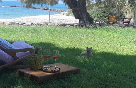 Malsova Studio - Foto 39