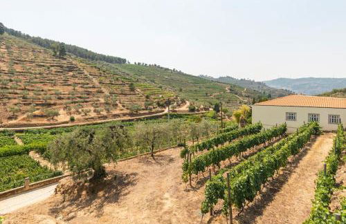 Valadouro Cottage Douro Vallée - Foto 8