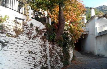 Casa Margarita - Photo 22