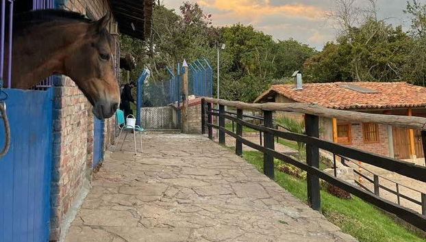 Criadero Lusitania Stable Private Trip - Photo 5, Discover the Colombian horses!