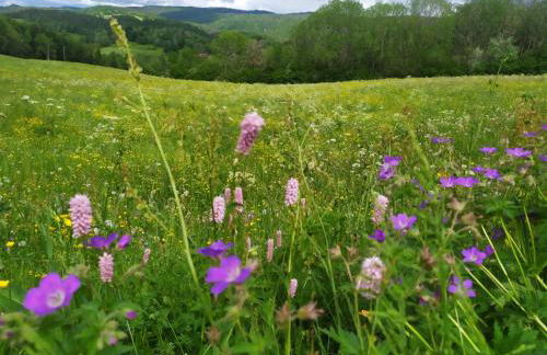 Au charmant chablis - Foto 32