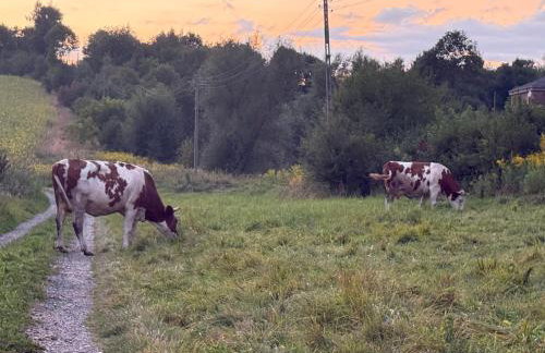 Siedlisko Święty Spokój - Foto 47