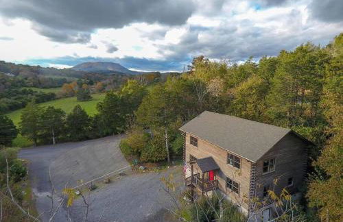 The Lewis #25 - The Cabins at Lexington - Foto 10