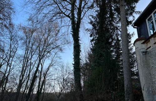 Schloss Suggenstein - Foto 17