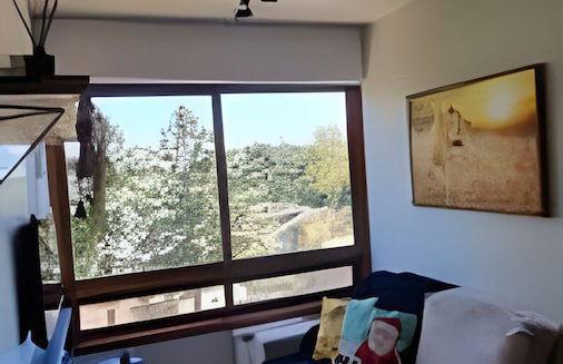 Siga Gramado - Centro e Lago Negro a pé - Photo 25