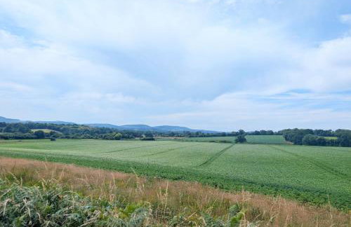 Studio Cottage - Rogate - Foto 14