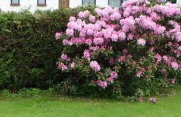 Ferienhaus Tettenweis - Foto 13