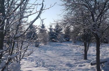 Ranczo u Jarka - Foto 19