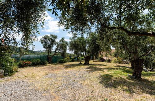 Apartment Garden by Interhome - Foto 44