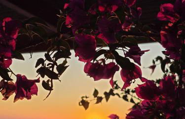 La Casa Del Sol Villa Aegina sea and Sunsets - Foto 78