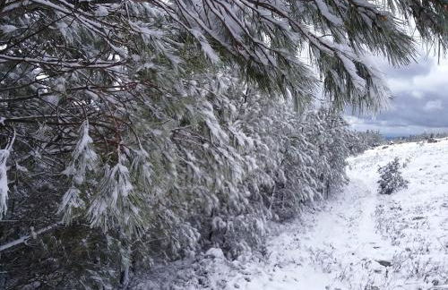 Casas da Encosta - Foto 40