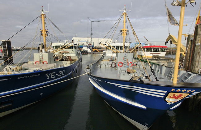 Chalet in Zeeland With Sauna by the Water - Foto 42