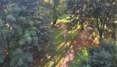 Apartament Saturna - Foto 3