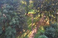 Apartament Saturna - Foto 3