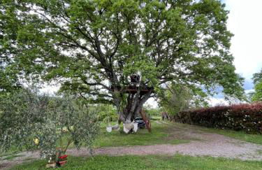 La Casa Rossa nell’Oasi verde - Foto 43