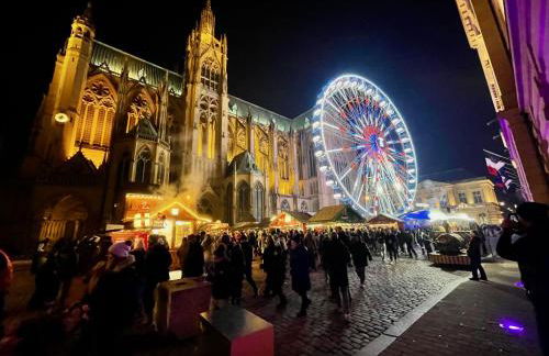 Les Gîtes de l'ile à Metz - Foto 42
