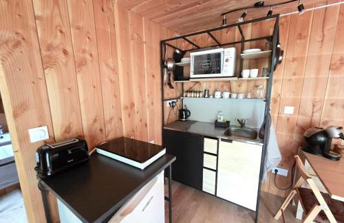 Studio bois avec terrasse et jardin bassin et océan - Foto 18