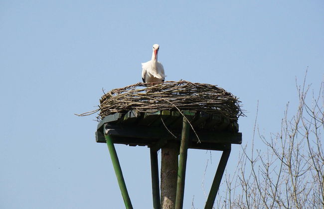 Rural Holiday Home With Terrace - Foto 27